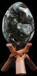 Septarian Dragon Egg Geode - Black Crystals #40934-1
